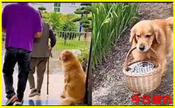 湖北恩施夏天凉快吗