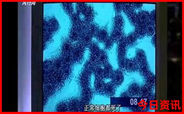 家家户户开过什么生肖