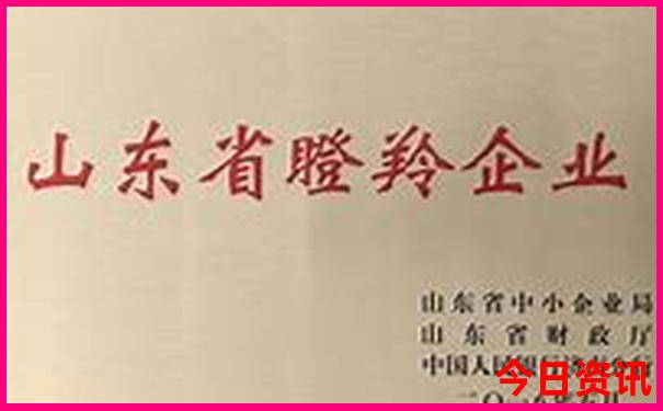 初中生去哪里旅游比较好